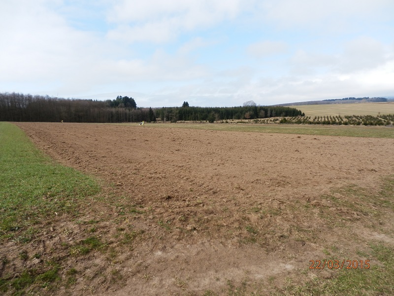 Hafer Dominik (Grünlandumbruch) (2).JPG