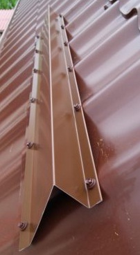 schneefang blechdach.jpg