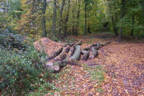 000_00118.jpg