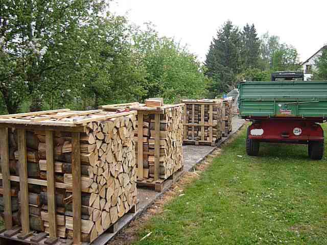 Brennholz 3.jpg