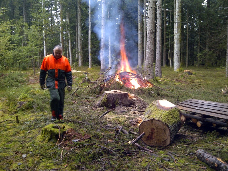 Begossener Pudel.jpg