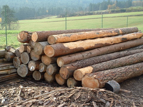 Wald und sonstiges 046.jpg