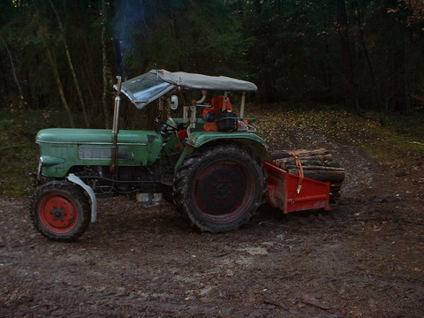 Wald und sonstiges 048-1.jpg