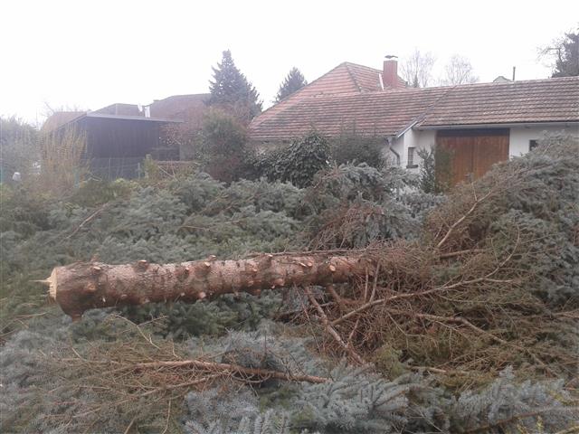 2015-03-28 09.19.48.jpg