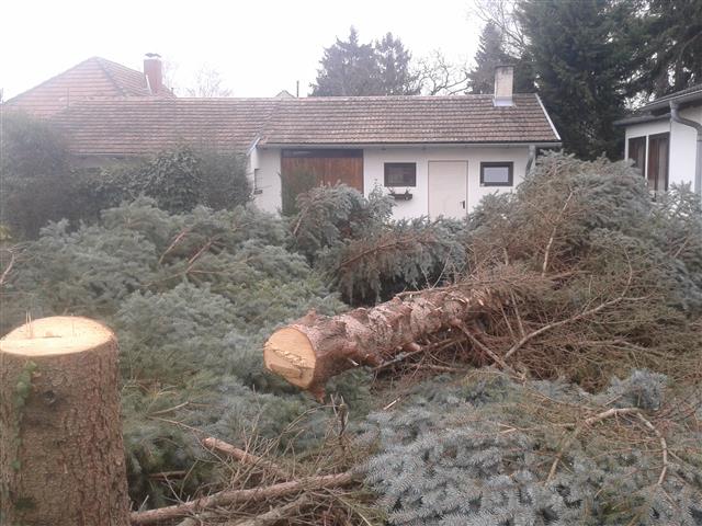 2015-03-28 09.20.12.jpg