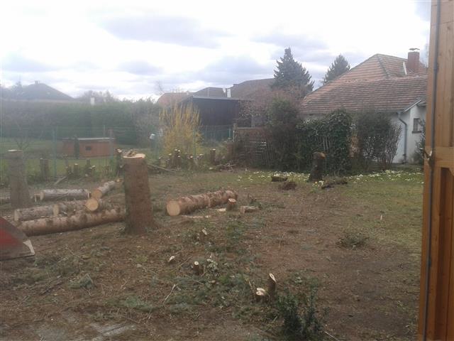 2015-04-03 10.37.30.jpg