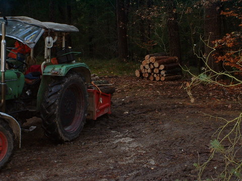 Wald und sonstiges 049.jpg