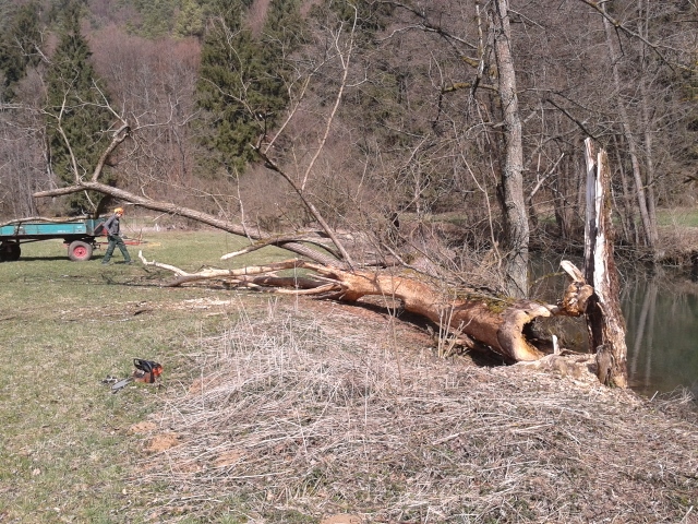 2015-04-10 14.51.03 (640x480).jpg