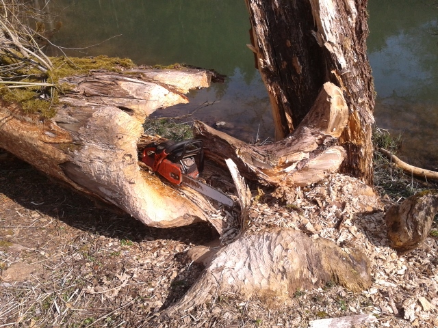 2015-04-10 14.54.04 (640x480).jpg