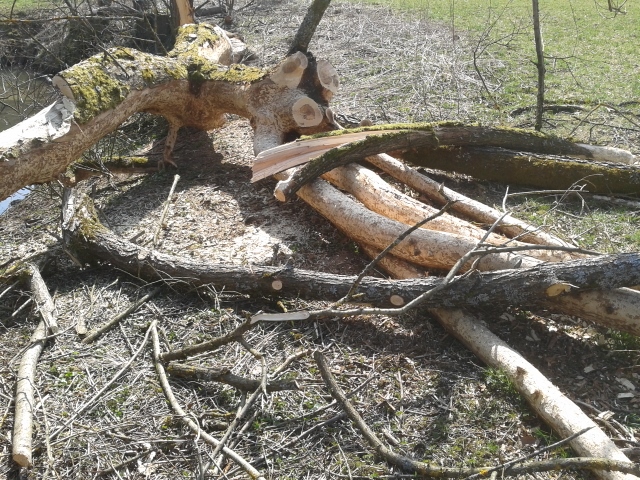 2015-04-10 14.58.33 (640x480).jpg