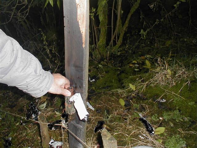 selbstauslösender Schußautomat (Small).JPG