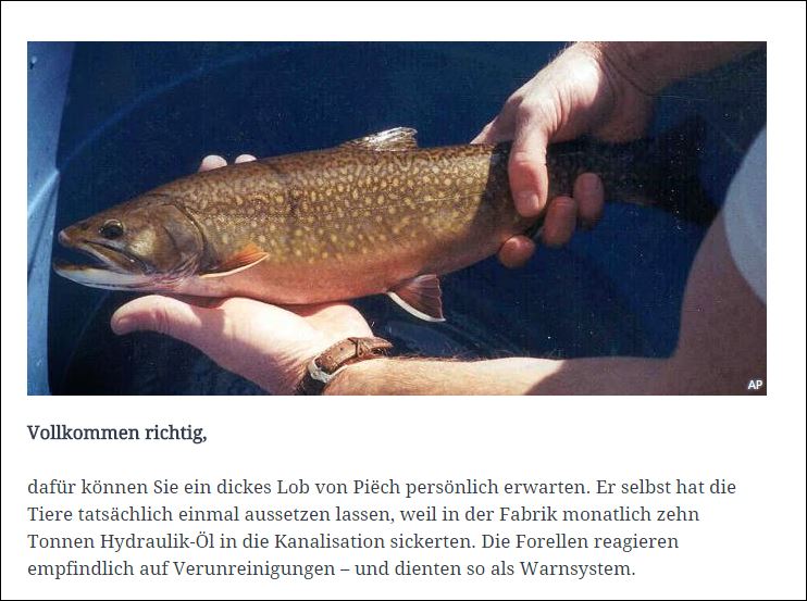 PP1.JPG