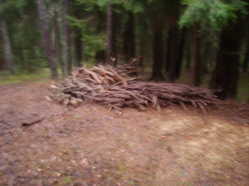 Brennholz aufarbeiten 014.jpg