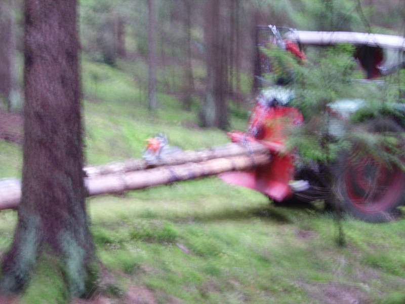 Brennholz aufarbeiten 011.jpg