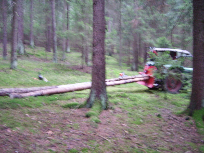 Brennholz aufarbeiten 010.jpg