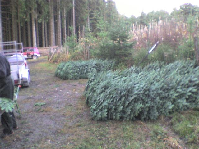 DSC00002 (Small).JPG