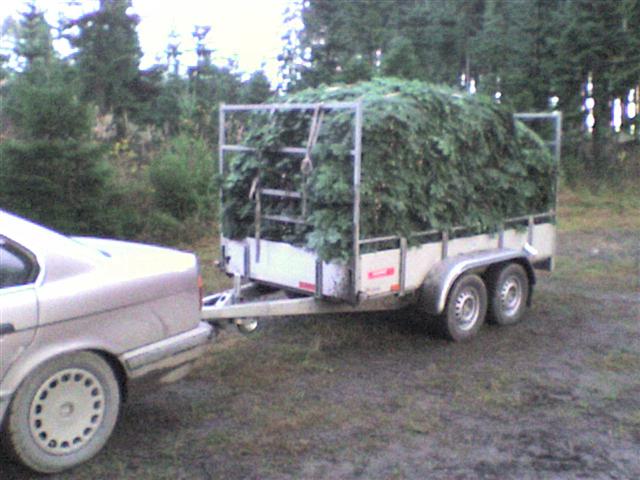 DSC00011 (Small).JPG