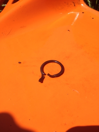 O-Ring.jpg