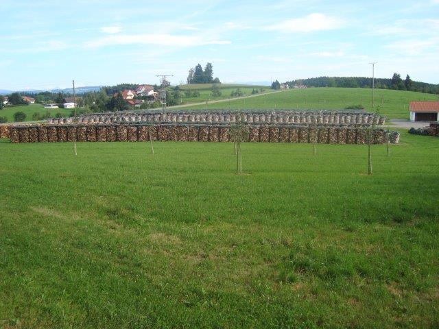 Holz 2012 005 - Kopie.jpg