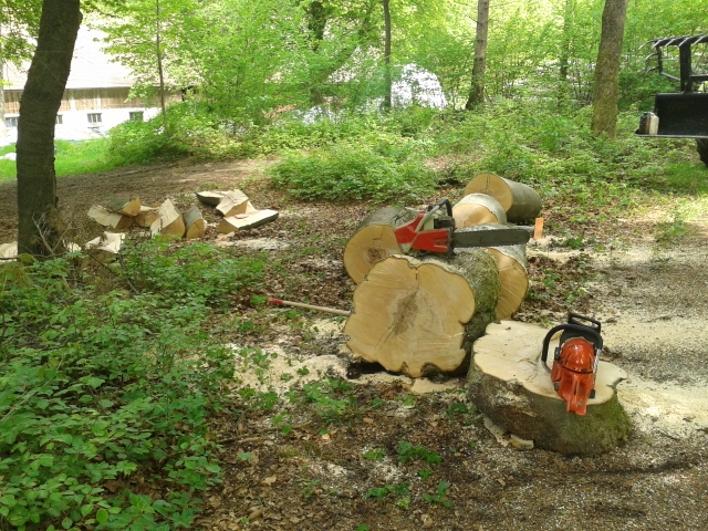 2015-05-09 11.13.33 (640x480).jpg