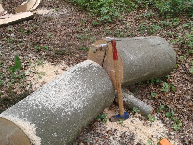 2015-05-09 11.16.31 (640x480).jpg