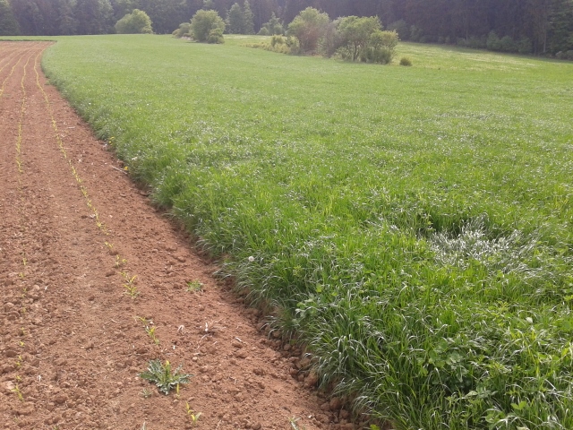 2015-05-12 10.01.28 (640x480).jpg