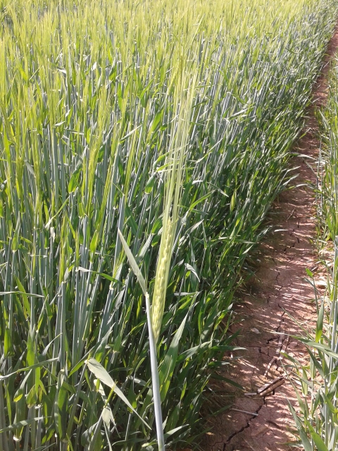 2015-05-14 11.05.30 (480x640).jpg