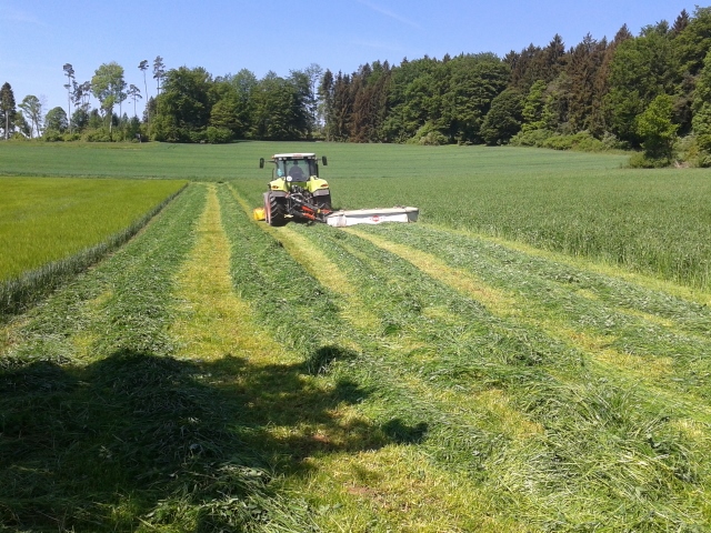 2015-05-16 11.08.59 (640x480).jpg