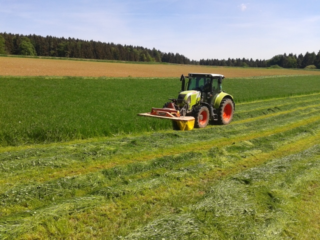 2015-05-16 10.31.11 (640x480).jpg