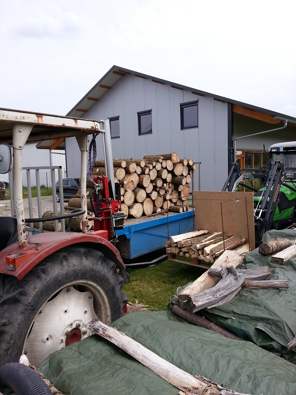 Holz spalten.jpg