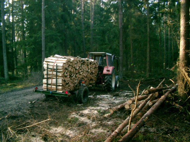 Holz 2006 005.jpg
