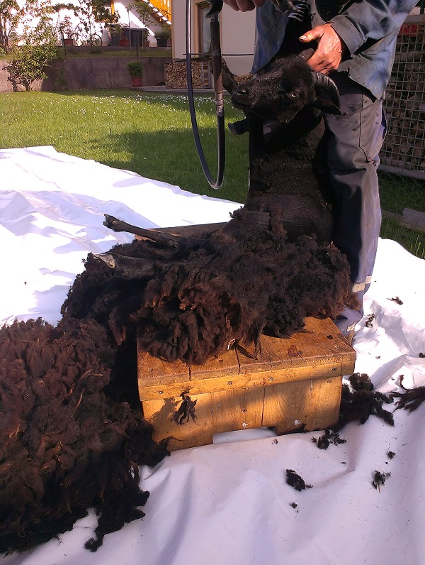 2015-06-03 17.44.23.jpg