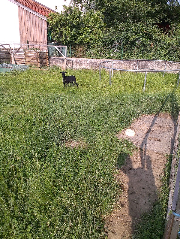 2015-06-03 17.47.19.jpg