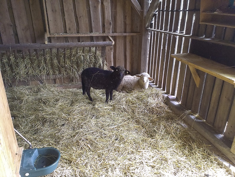 2015-05-22 09.16.08.jpg