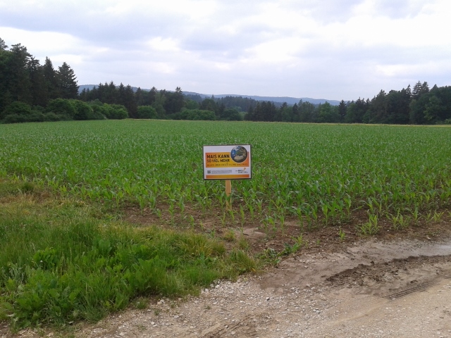 2015-06-10 15.34.48 (640x480).jpg