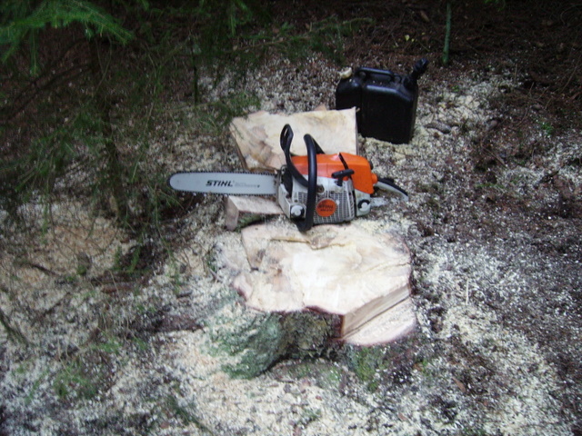 Brennholz und Sturmholz 017.jpg
