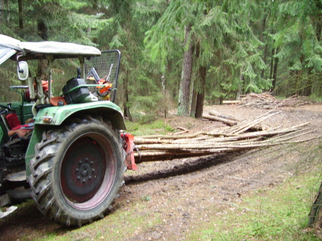 Brennholz und Sturmholz 012.jpg
