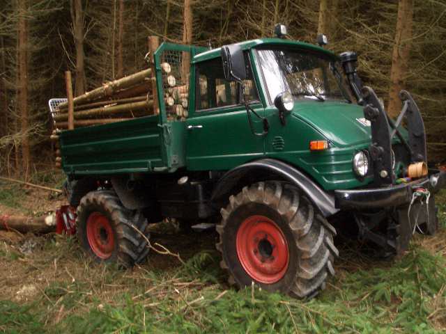 CIMG5562.JPG