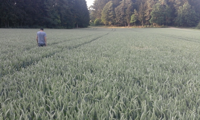 20150707_191556 (640x384).jpg