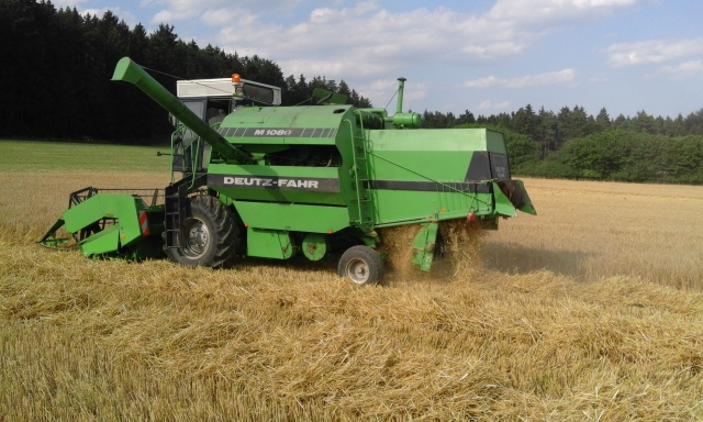 20150711_173303 (640x384).jpg