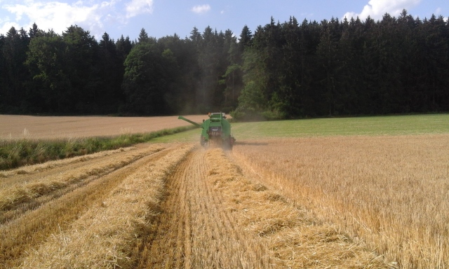 20150711_173340 (640x384).jpg