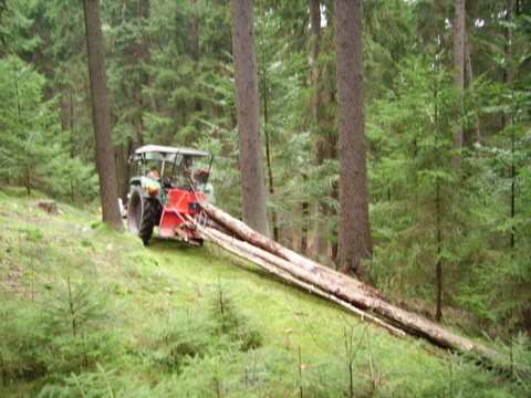Brennholz und Sturmholz 014.jpg