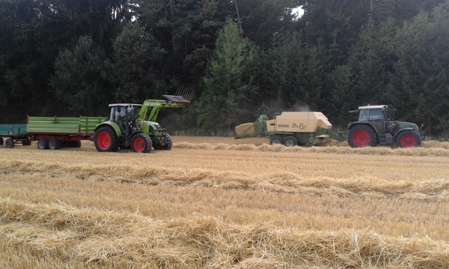 20150715_164914 (640x384).jpg