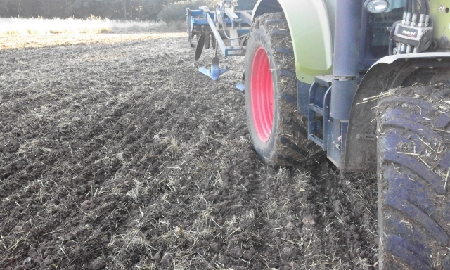 20150720_194424 (640x384).jpg