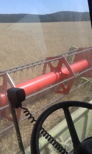 20150722_145807 (384x640).jpg