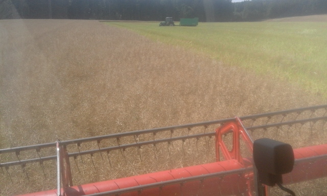 20150722_152211 (640x384).jpg