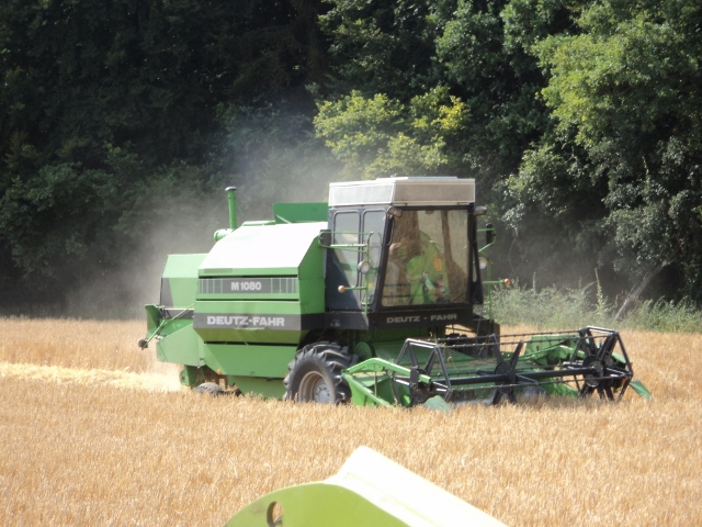 DSC03655 (640x480).jpg