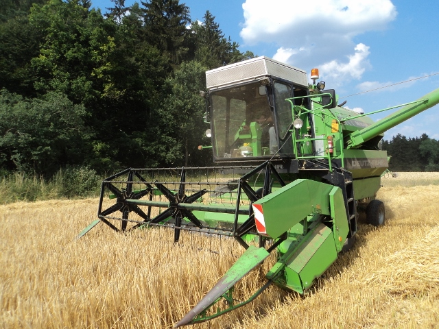 DSC03664 (640x480).jpg