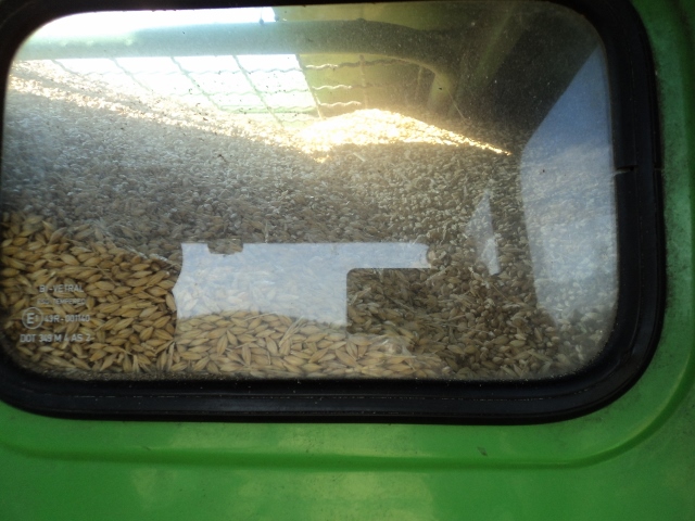 DSC03680 (640x480).jpg