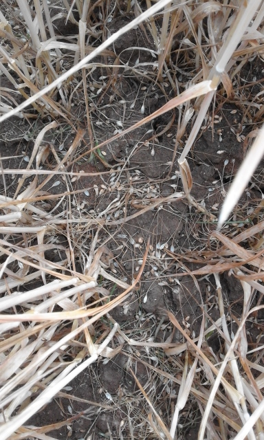 20150725_111041 (384x640).jpg